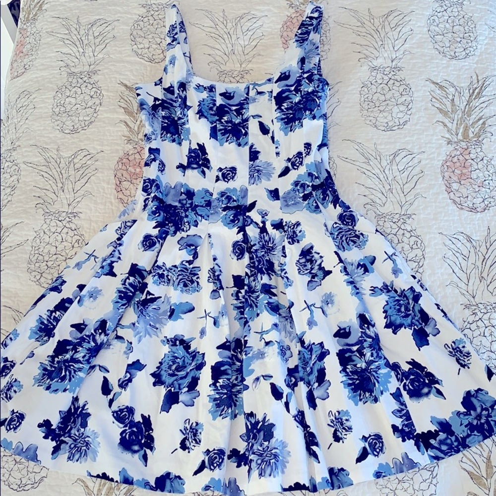 RALPH LAUREN PLEATED PANEL DRESS WITH POCKETS!!